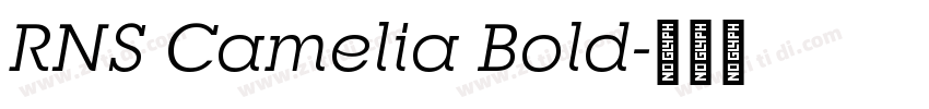 RNS Camelia Bold字体转换